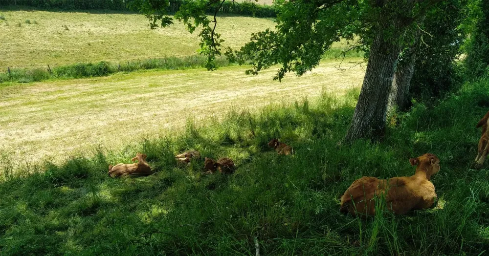 Produits fermiers à Baraqueville